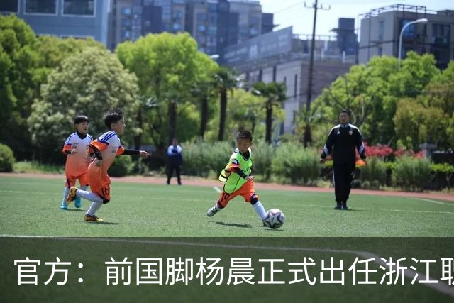 官方:前国脚杨晨正式出任浙江职业足球俱乐部总经理